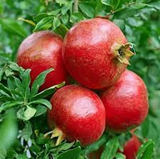 Pomegranate (Anar 500g)