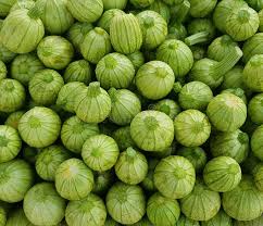 Apple Gourd (Tinda)