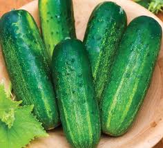 Cucumber (Kheera)