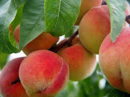 Peach (Aadu 500g)