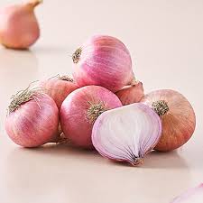 Onion