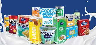 Dairy Products