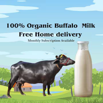 Buffalo Milk-1litr