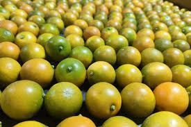 Sweet Lime (Mosambi 500g)