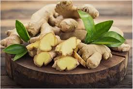 Fresh Ginger (Adrak 100g)