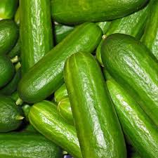 Cucumber (Kheera)
