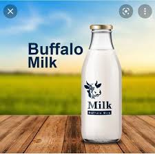 Buffalo Milk-1litr
