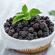 Blackberry (500g)