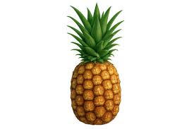 Pineapple (Ananas pc.1)