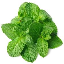 🌿 Fresh Mint (Pudina 400g)