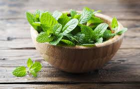 🌿 Fresh Mint (Pudina 400g)