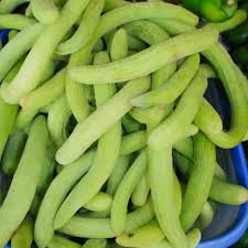 Kakdi (Long Melon)