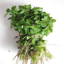 🌿 Fresh Mint (Pudina 400g)