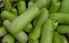 Bottle Gourd (Lauki/Ghiya)