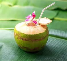 Tender Coconut (Water Coconut 1pc.)